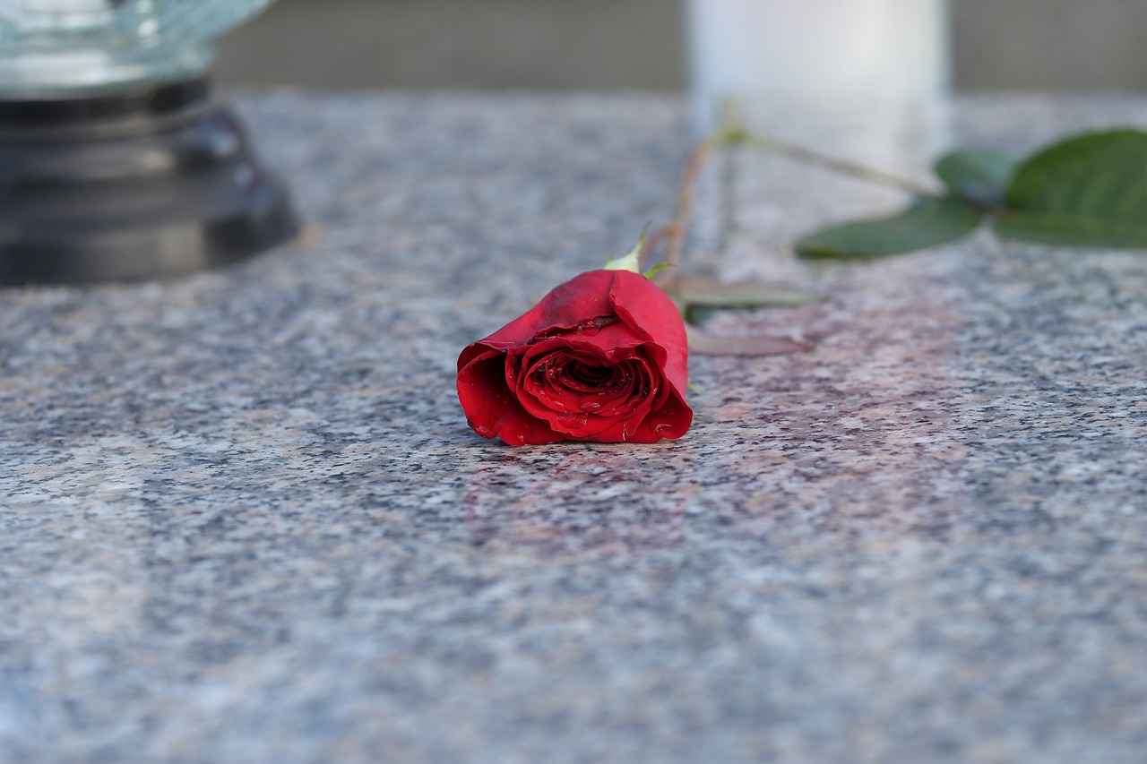 rosa seca caída encima de una mesa de mármol